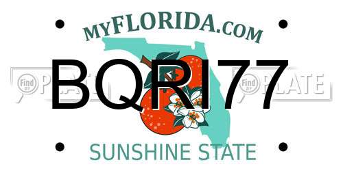 BQRI77 Florida License Plate