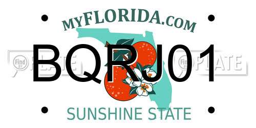 BQRJ01 Florida License Plate