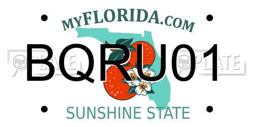 BQRU01 Florida License Plate