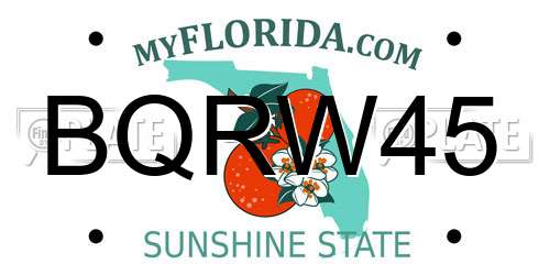 BQRW45 Florida License Plate