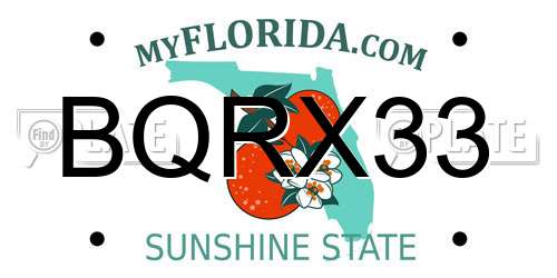 BQRX33 Florida License Plate