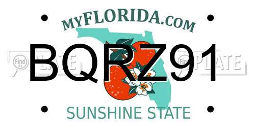 BQRZ91 Florida License Plate