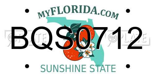 BQS0712 Florida License Plate