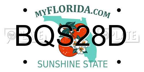 BQS28D Florida License Plate