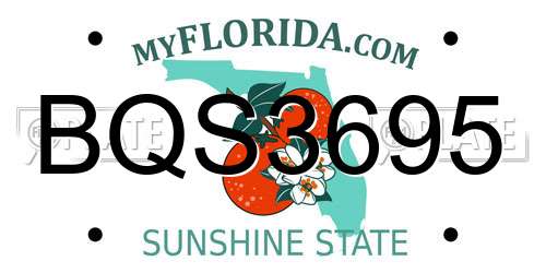 BQS3695 Florida License Plate