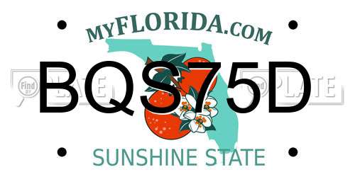 BQS75D Florida License Plate