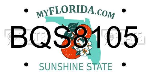 BQS8105 Florida License Plate