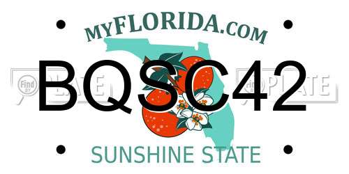 BQSC42 Florida License Plate