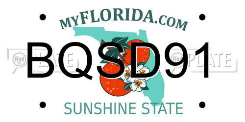 BQSD91 Florida License Plate