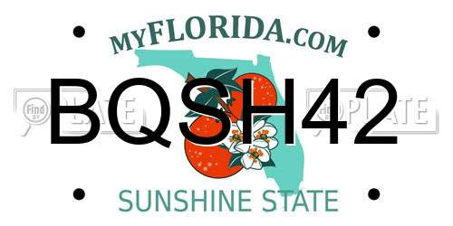 BQSH42 Florida License Plate