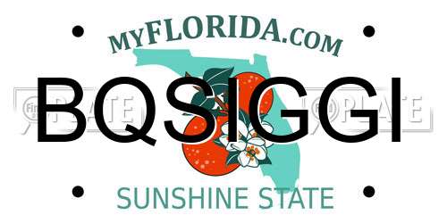 BQSIGGI Florida License Plate
