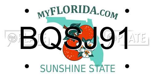 BQSJ91 Florida License Plate