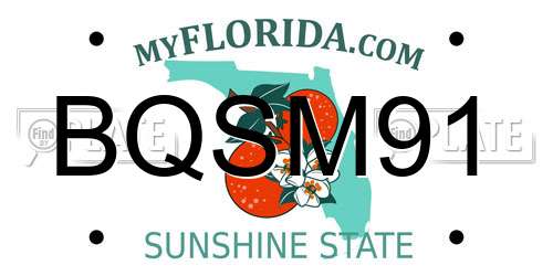 BQSM91 Florida License Plate