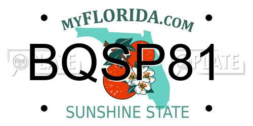 BQSP81 Florida License Plate