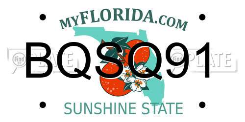BQSQ91 Florida License Plate