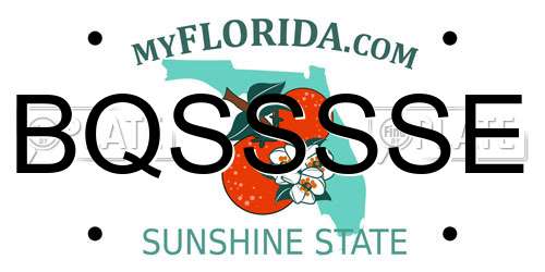 BQSSSSE Florida License Plate