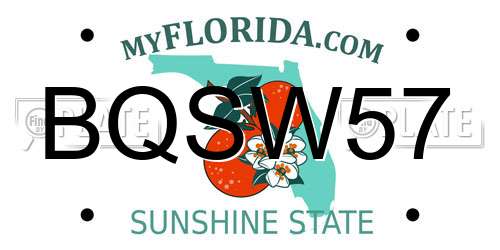 BQSW57 Florida License Plate