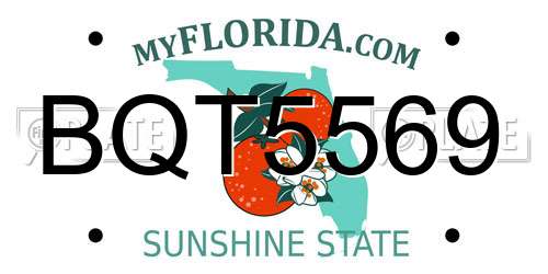 BQT5569 Florida License Plate