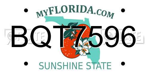 BQT7596 Florida License Plate