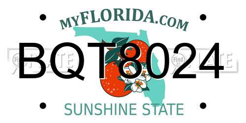 BQT8024 Florida License Plate