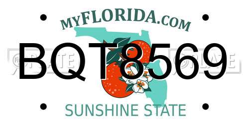 BQT8569 Florida License Plate