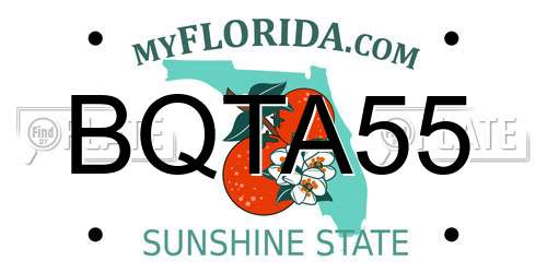 BQTA55 Florida License Plate