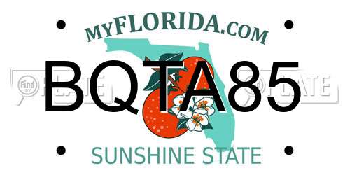 BQTA85 Florida License Plate