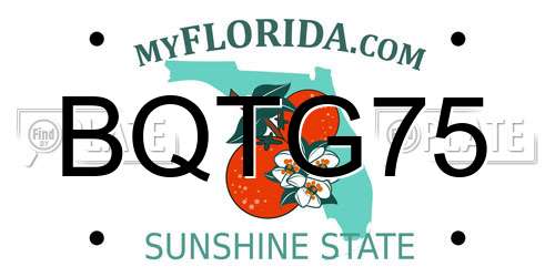 BQTG75 Florida License Plate