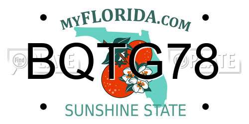 BQTG78 Florida License Plate