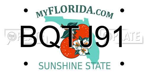 BQTJ91 Florida License Plate