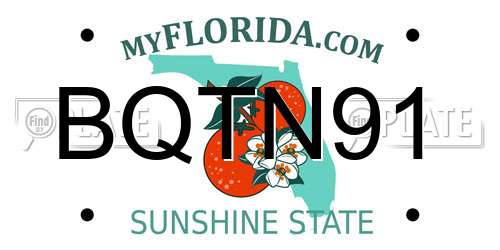 BQTN91 Florida License Plate