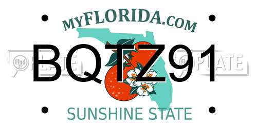 BQTZ91 Florida License Plate