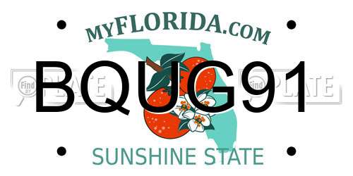 BQUG91 Florida License Plate