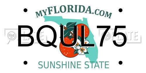 BQUL75 Florida License Plate