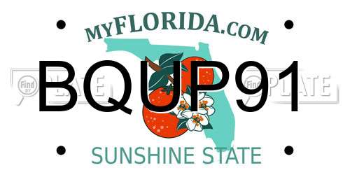 BQUP91 Florida License Plate