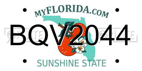 BQV2044 Florida License Plate