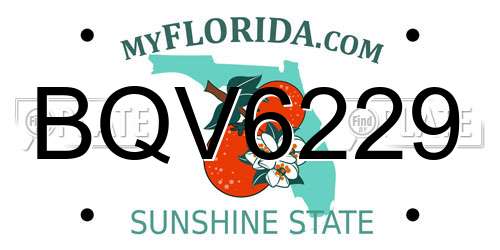 BQV6229 Florida License Plate