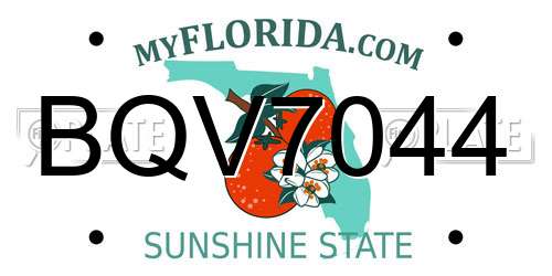 BQV7044 Florida License Plate