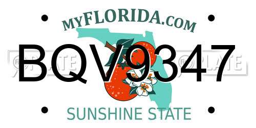BQV9347 Florida License Plate