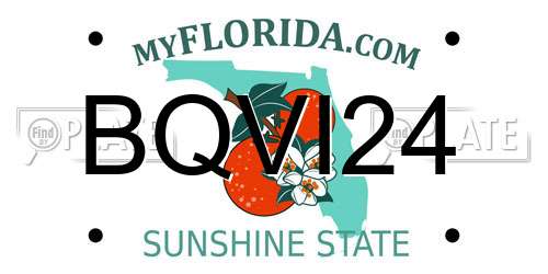 BQVI24 Florida License Plate