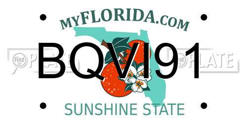 BQVI91 Florida License Plate
