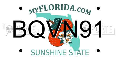 BQVN91 Florida License Plate