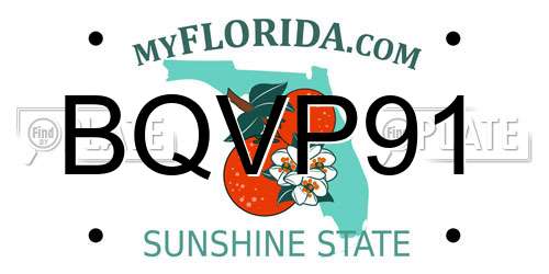 BQVP91 Florida License Plate