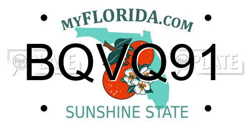 BQVQ91 Florida License Plate