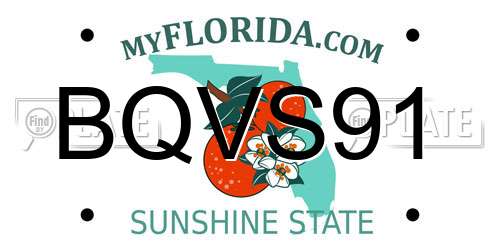 BQVS91 Florida License Plate
