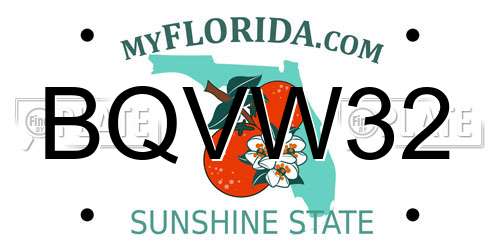 BQVW32 Florida License Plate
