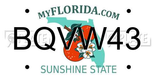 BQVW43 Florida License Plate