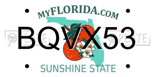 BQVX53 Florida License Plate