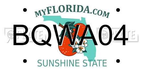 BQWA04 Florida License Plate