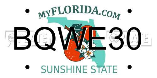 BQWE30 Florida License Plate